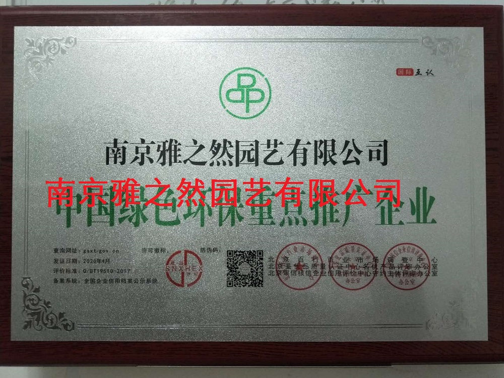 榮譽(yù)資質(zhì)
