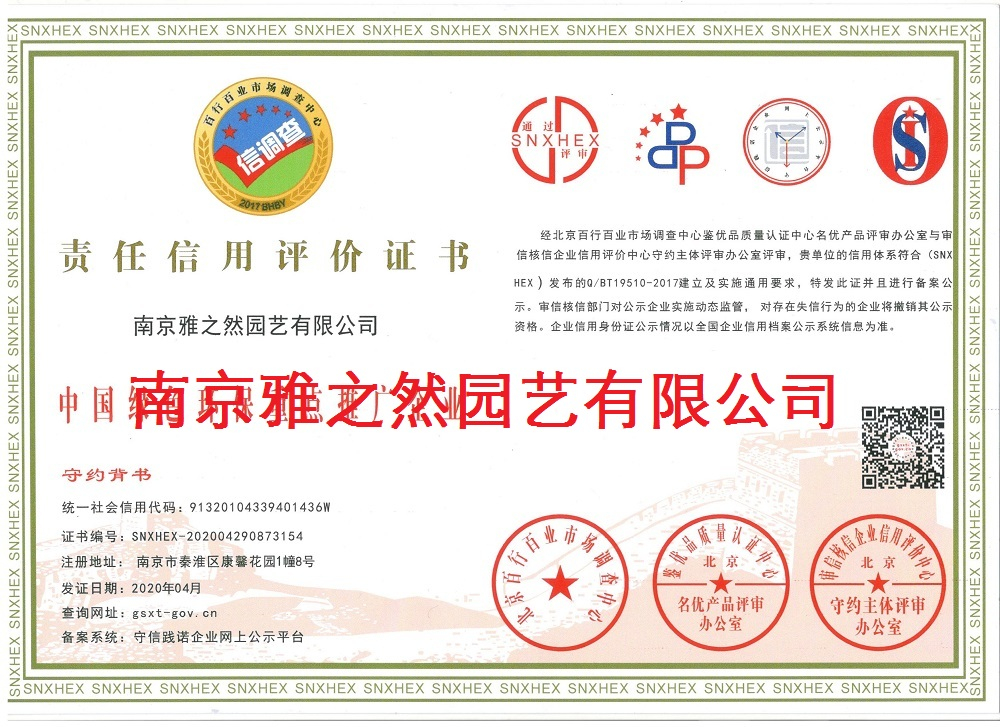 榮譽(yù)資質(zhì)