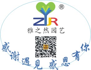 商標 (3).JPG